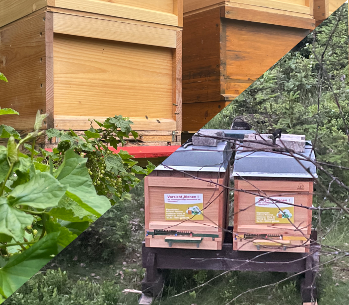 Bienenstock