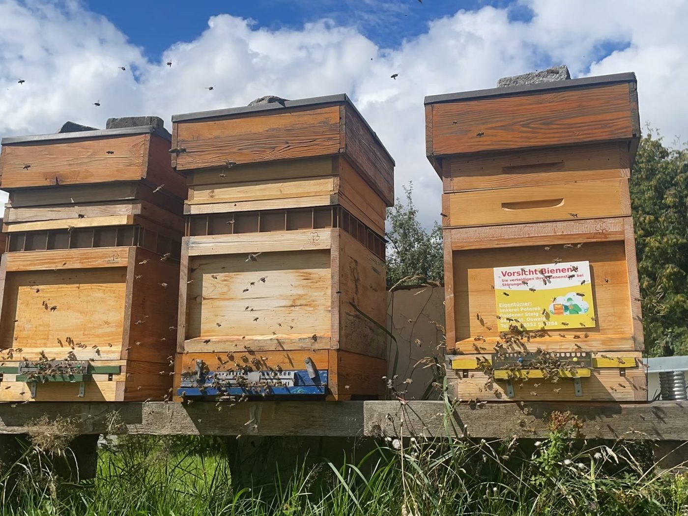 Drei Bienenbeuten der Imkerei Peterek vor Wolkenhimmel, Bienen im Anflug